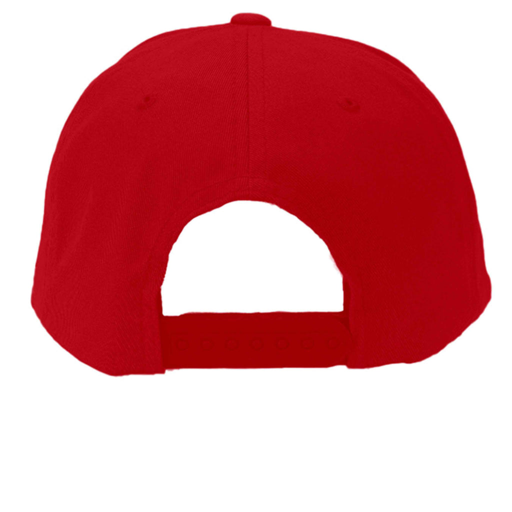 Fast and Furrious Snapback Hat