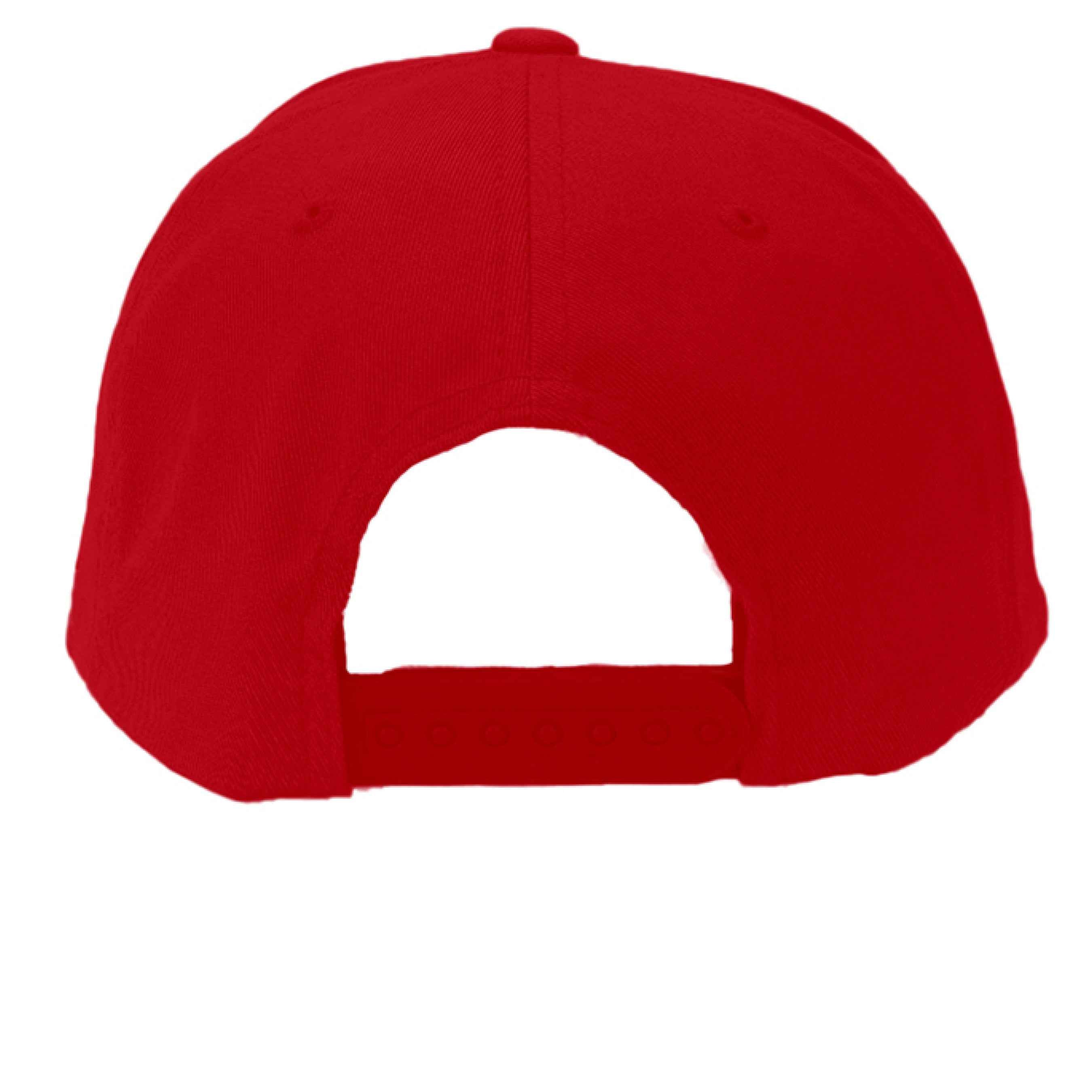 Fast and Furrious Snapback Hat